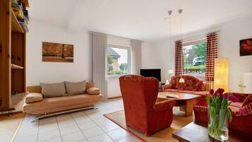 Televisión, reproductor de DVD y estéreo