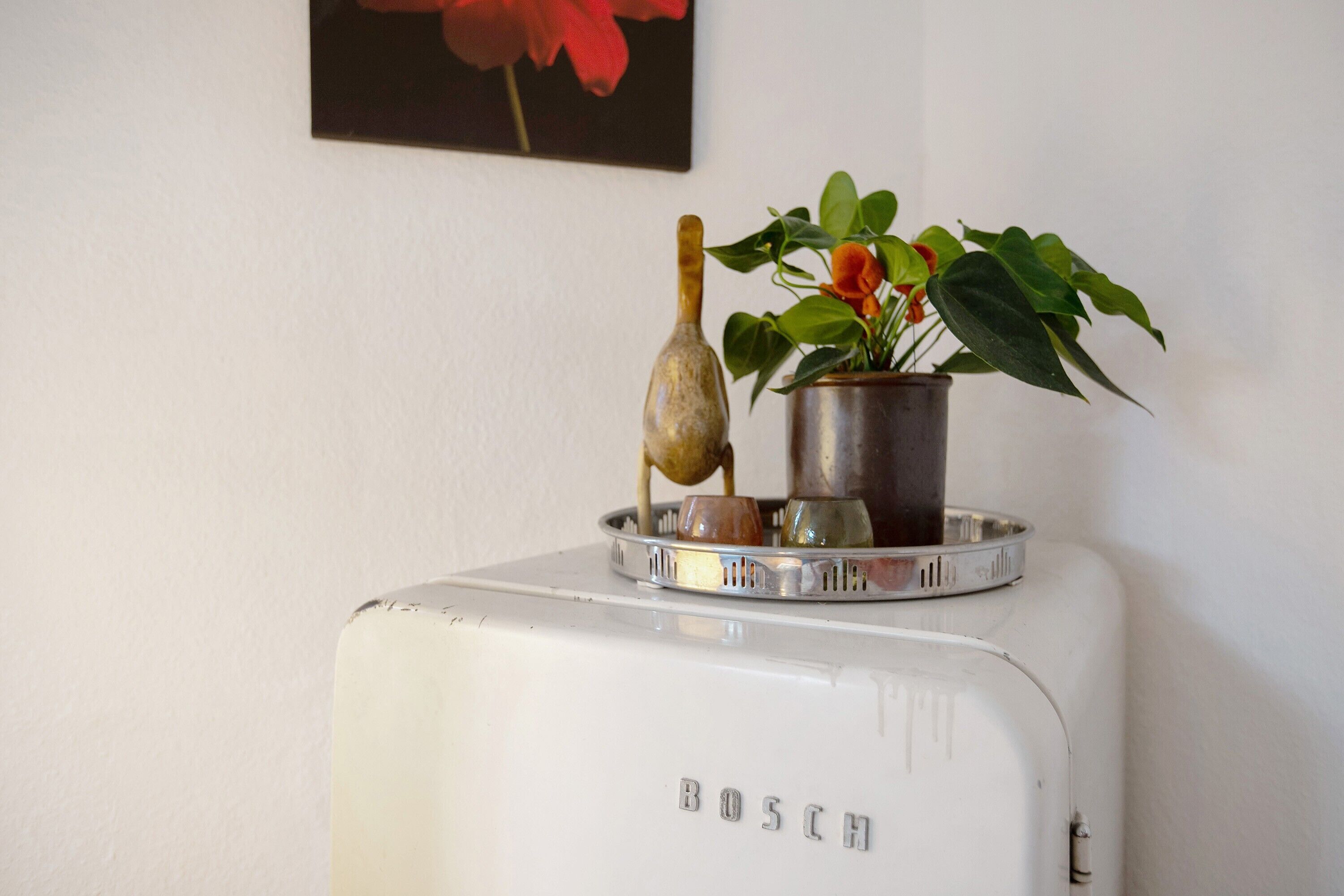 Een wit Bosch apparaat met een metalen plateau, een klein plantje en een decoratief object.