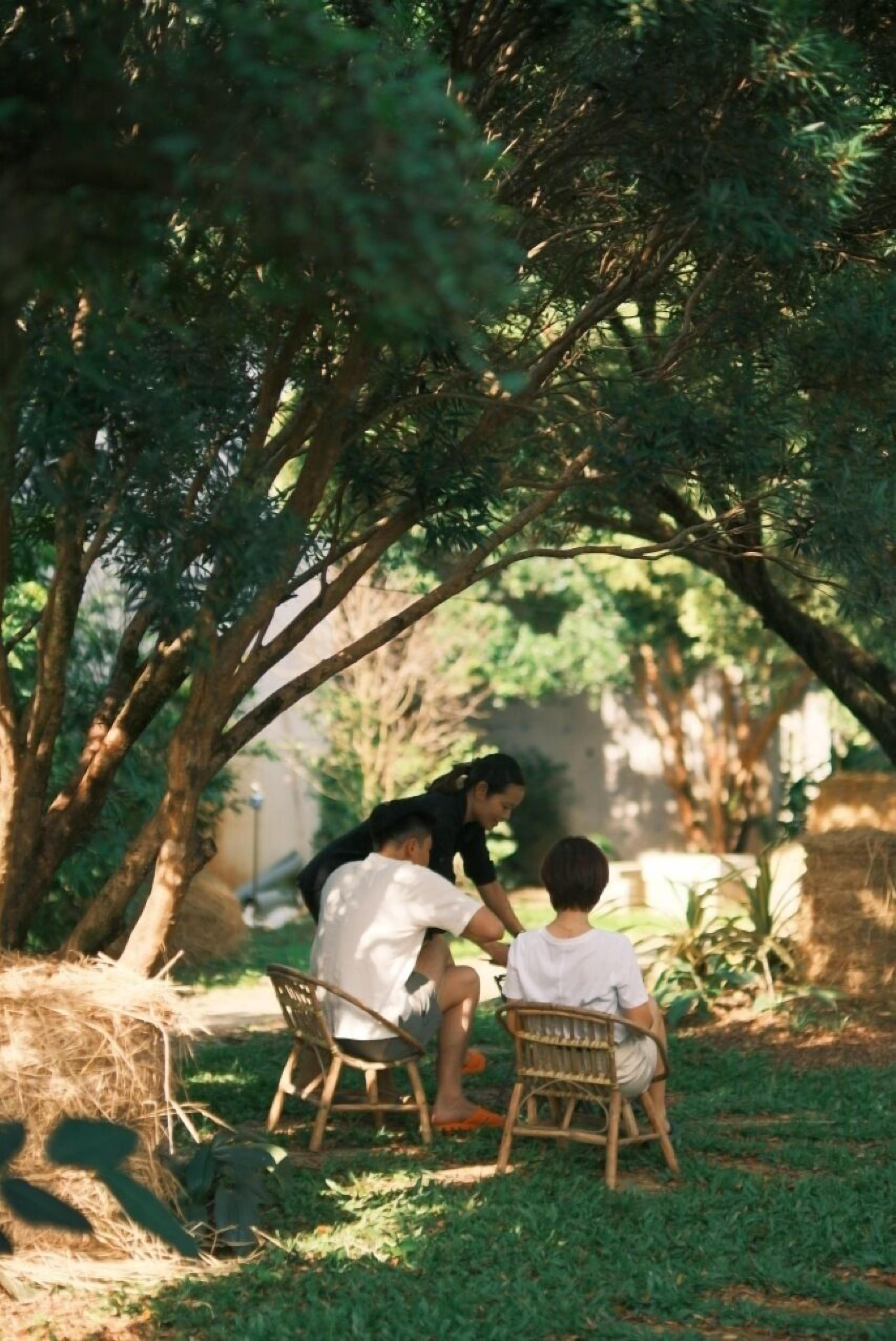 Un espacio al aire libre con sombra, donde dos personas están sentadas en sillas bajo un árbol, rodeadas de follaje.