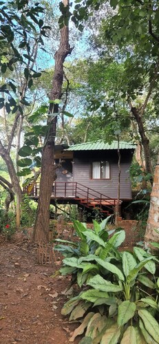 Machan @ Captain's Camp, Sirsi