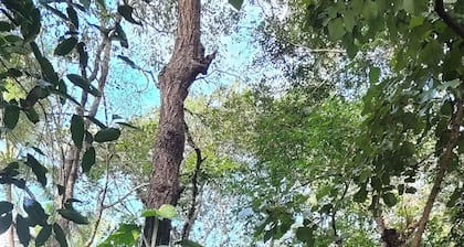 Machan @ Captain's Camp, Sirsi