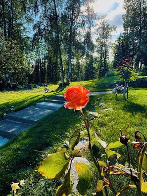 Overnatningsstedets område