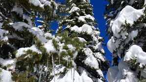 Unclassified image, 5 of 49, button - Hike In/Hike Out w/Slope Views + 3 Hot Tubs-Ski/Town Shuttle-Sauna-Gym-Gas Fireplace-Deck-Updated (Steamboat Springs)