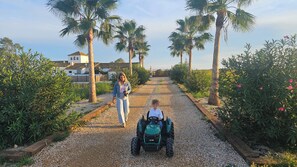 المنطقة المحيطة بالمنشأة