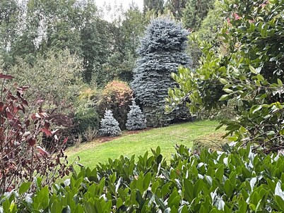 Large 7-bd house with 20’ Ceilings Jacuzzi Dry Sauna Wifi Vineyard Valley Views 