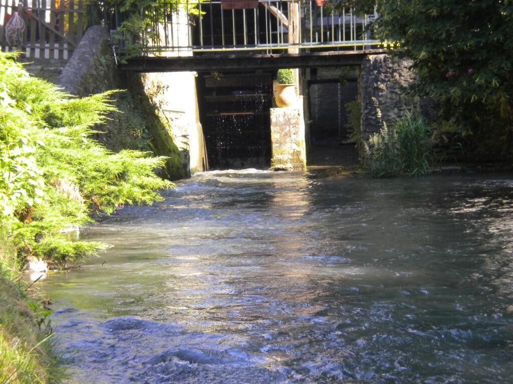 Ein Fluss fließt unter einer Brücke, entlang der Ufer wächst Grün.