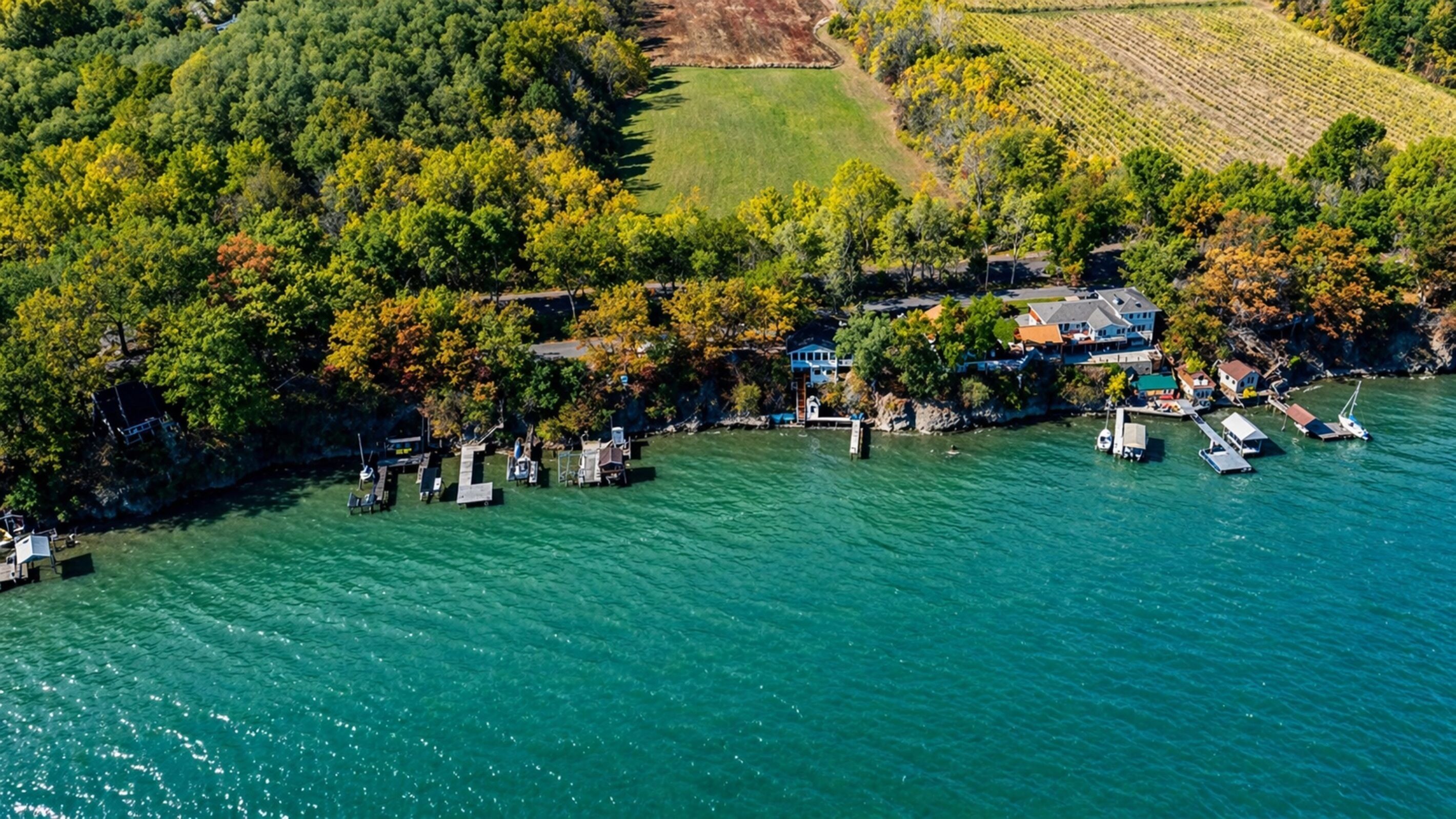 An aerial view of a lakeside property with docks, boats, and a house surrounded by trees.