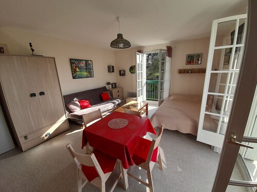 Bright studio in La Roche-Posay center with WIFI, washer, dishwasher, pets allowed