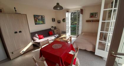 Bright studio in La Roche-Posay center with WIFI, washer, dishwasher, pets allowed