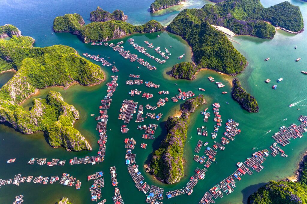 Une vue aérienne d’une zone côtière où l’on peut voir de nombreuses structures flottantes, probablement utilisées comme quais d’amarrage pour les bateaux ou comme habitations.
