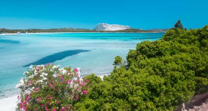 Room in Guest Room - San Teodoro Borgo Straula Comfort Room With Hydromassage tub