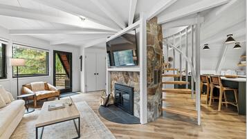 Smart TV, fireplace, books