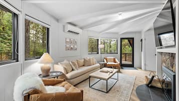 Smart TV, fireplace, books