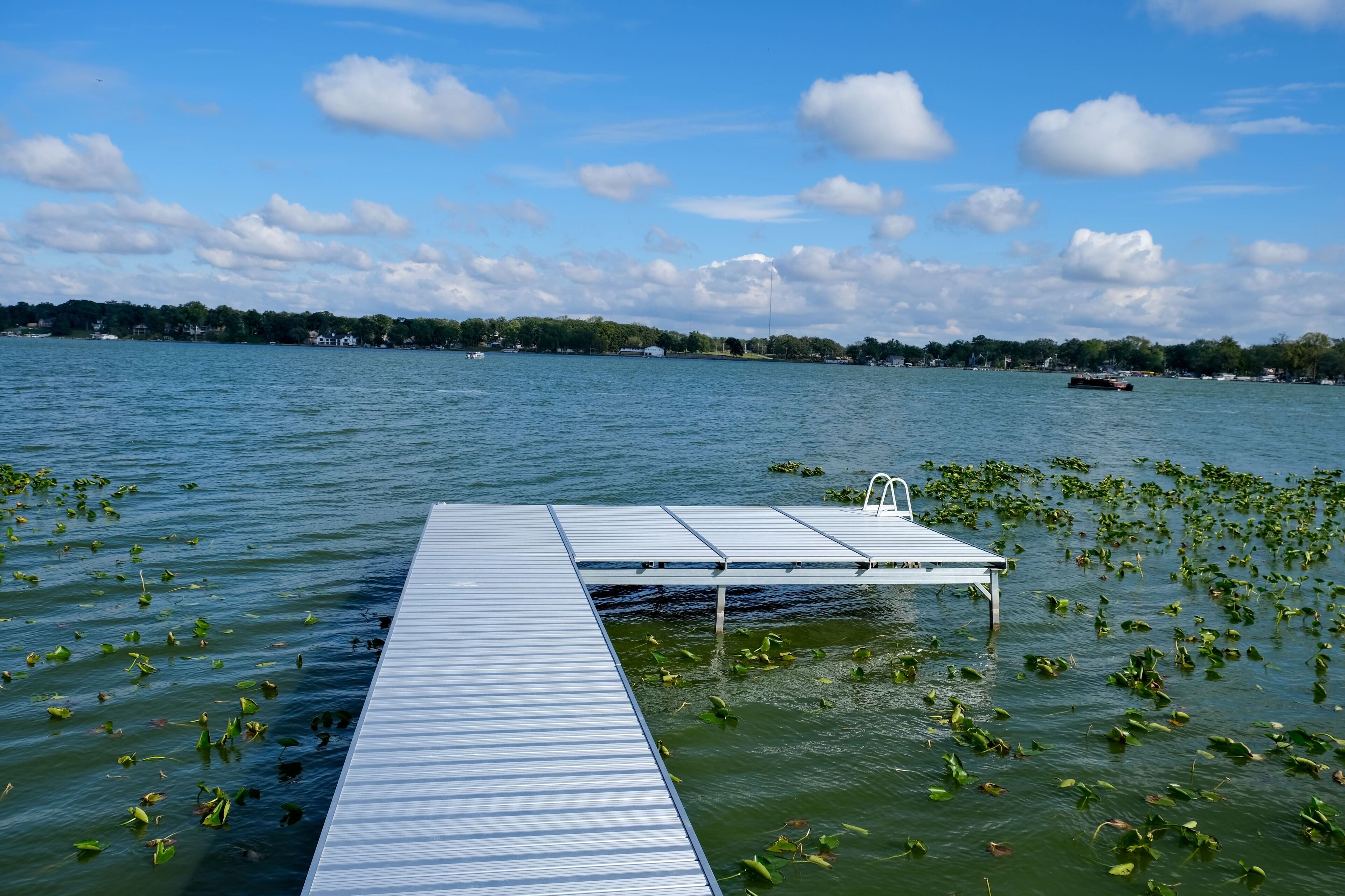 A dock extending into calm water with floating vegetation, a clear sky, and distant buildings.