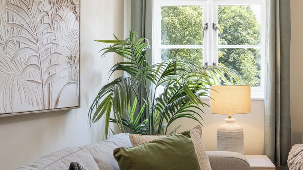 A living room with a sofa, a lamp, a plant, and a window with a view of trees. - Shrewsbury Apartment (Shrewsbury)