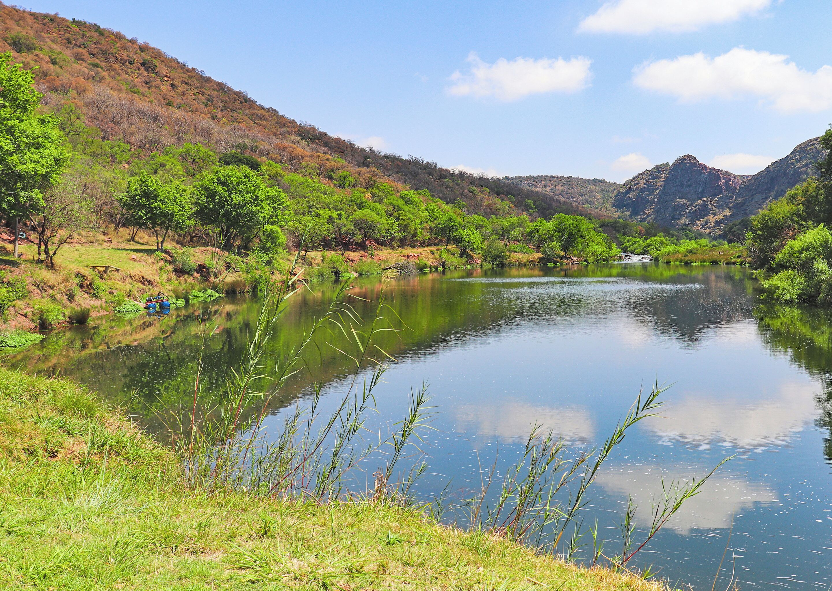 Un río tranquilo con abundante vegetación y colinas al fondo.