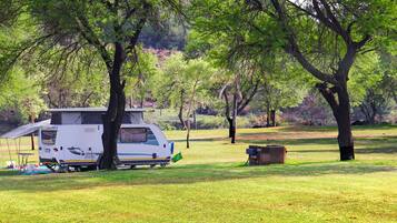 Tenda de campanya Comfort, vistes al riu | 1 dormitori, wifi gratuïta i roba de llit