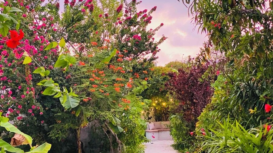 Coral Castle