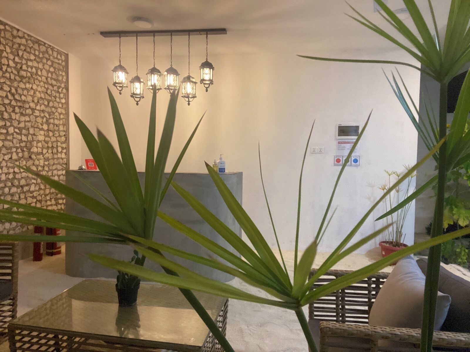 Un interno moderno con una parete in pietra, un lampadario a sospensione e un'area pranzo con tavolo in vetro e piante in vaso.