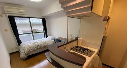 W312 Tokyo Monthly Rentals - Great Area Komazawa