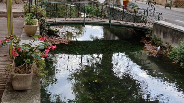 Un canal tranquilo con un pequeño puente, rodeado de árboles y plantas en macetas.