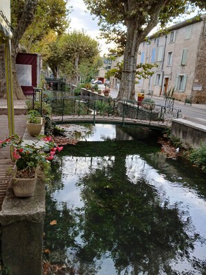 Un canal tranquilo con un pequeño puente, rodeado de árboles y plantas en macetas.