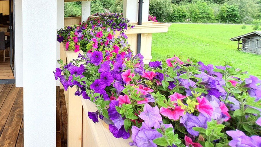 Apartments Alpenpanorama, Neustift