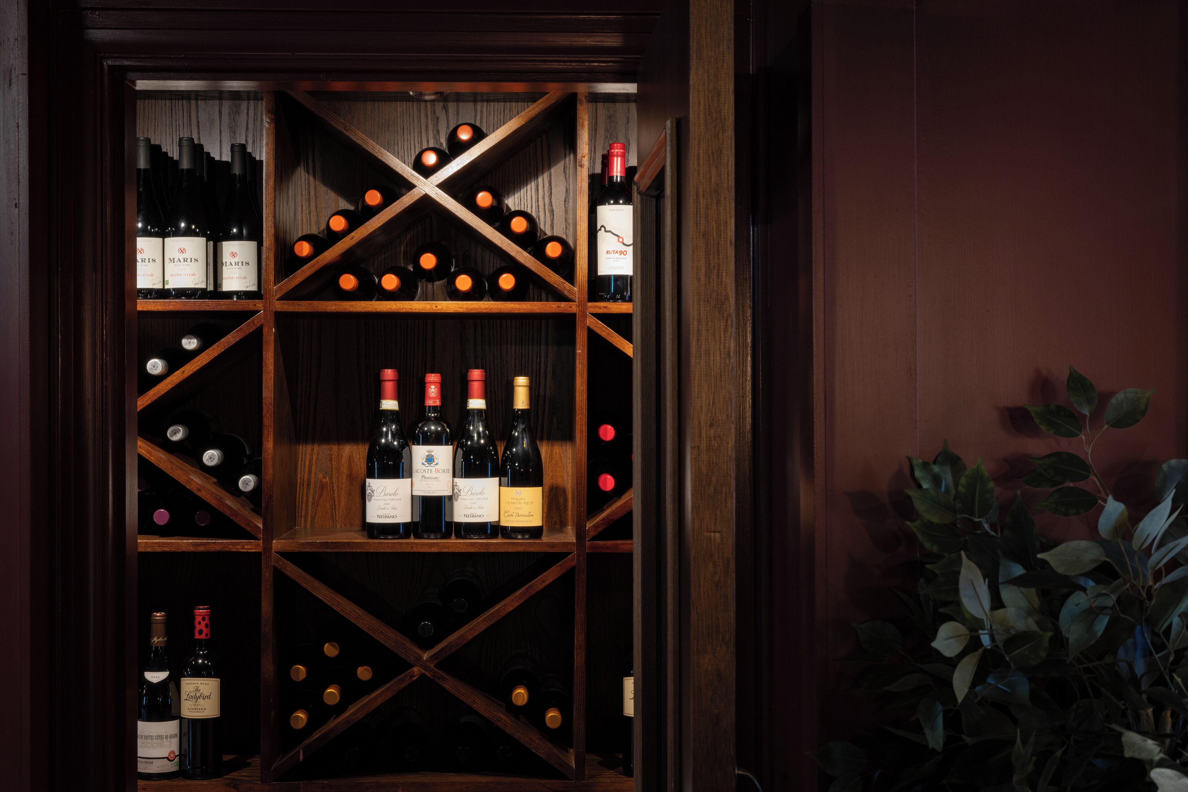A wine cellar with wooden shelves and bottles of wine.