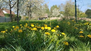 Ulkoalueet