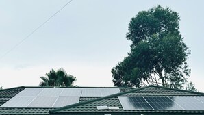 Um edifício com painéis solares no telhado, uma grande árvore ao fundo e uma janela com cortina.
