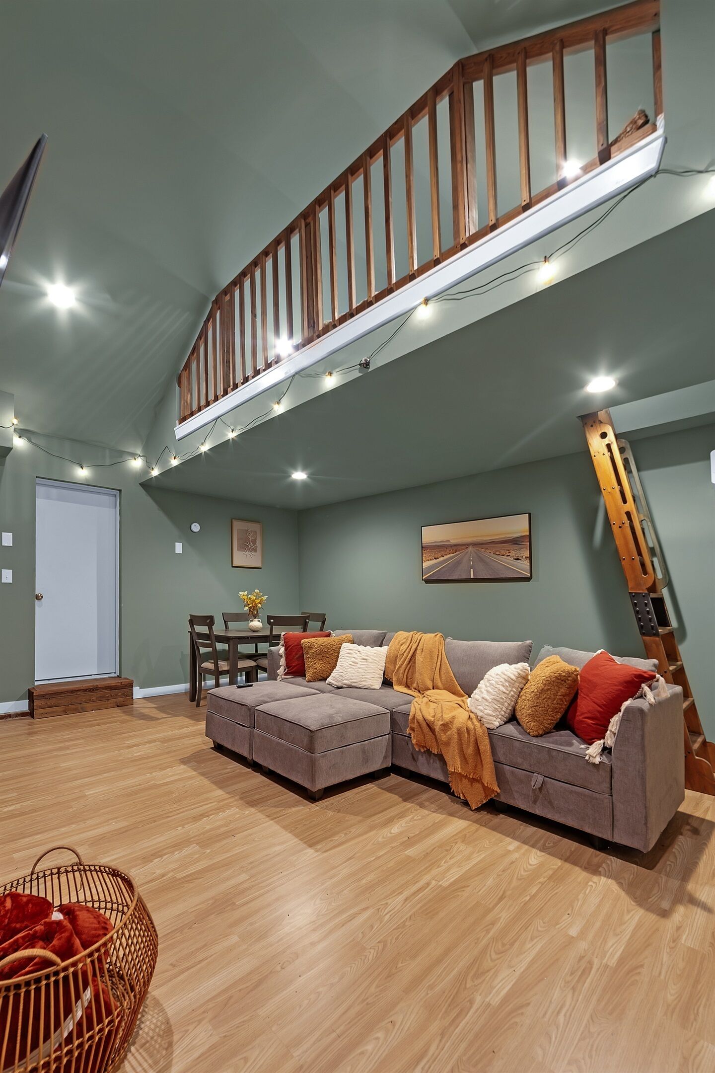 智能電視、DVD 播放機