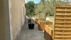 A narrow gravel pathway flanked by a beige wall and wooden planters with green plants.