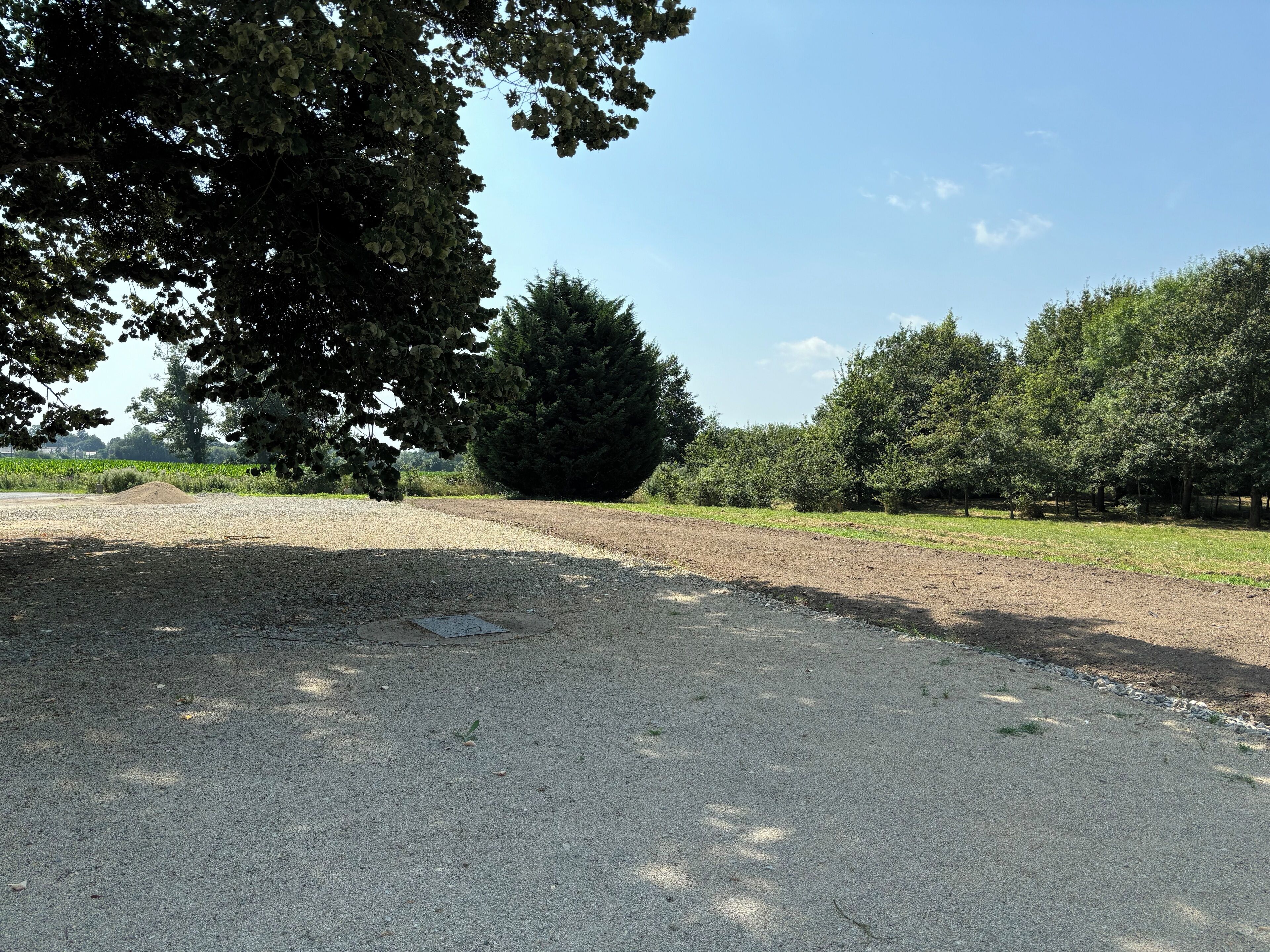 Une zone recouverte de gravier, avec un grand arbre et un monticule de terre.