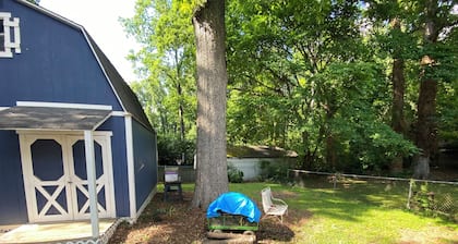 Entire home, charming 3-2 near the Marietta square!