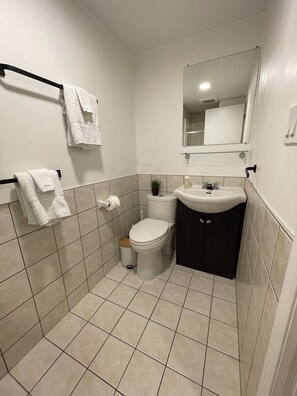Sèche-cheveux, serviettes fournies, savon, papier toilette