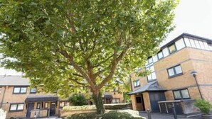 A multi-story building with a central courtyard featuring a large tree.