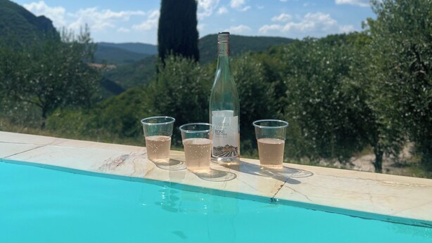 Poolbereich mit einer Flasche und Gläsern, umgeben von Grünpflanzen und blauem Himmel.
