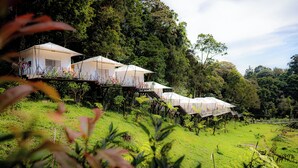 A series of treehouse-style accommodations with outdoor terraces, surrounded by lush greenery. - Penginapan Alam DGlorious CraterKamojang (Mekarwangi)