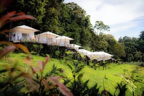 Exterior - Penginapan Alam DGlorious CraterKamojang (Mekarwangi)