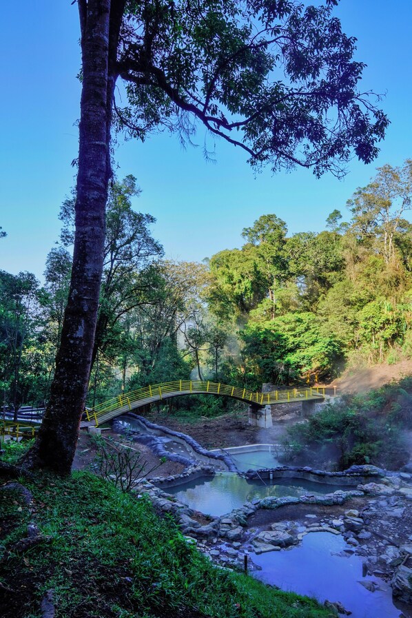 A natural landscape with a bridge, trees, and a pond. - Penginapan Alam DGlorious CraterKamojang (Mekarwangi)