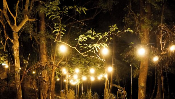 A stone pathway leading through a garden at night, illuminated by string lights. - Penginapan Alam DGlorious CraterKamojang (Mekarwangi)
