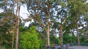A wooden deck with metal railings overlooking a dense forest. - Penginapan Alam DGlorious CraterKamojang (Mekarwangi)
