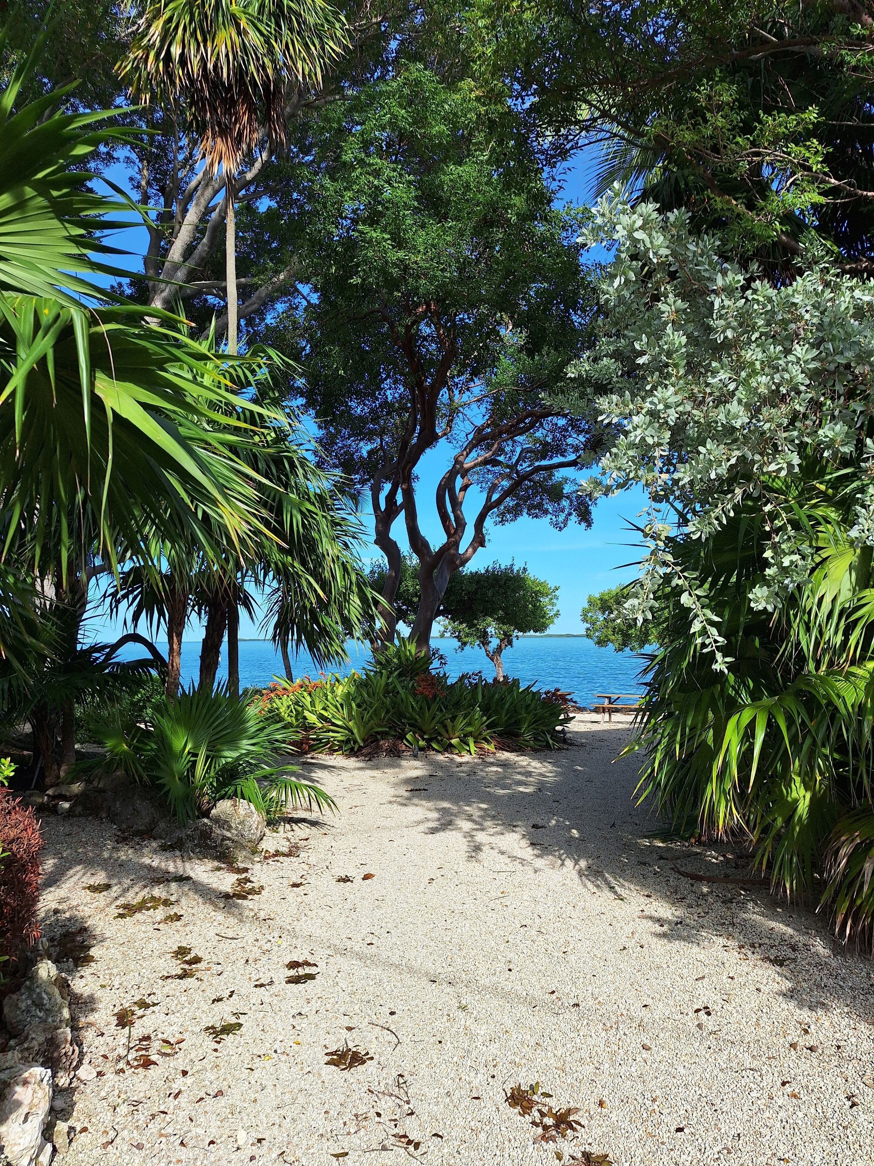 On the beach, sun loungers, beach towels