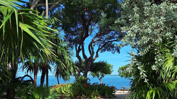 Un sentier de gravier mène à une plage bordée d’une végétation luxuriante et où se trouve un banc.