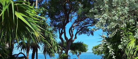 On the beach, sun loungers, beach towels