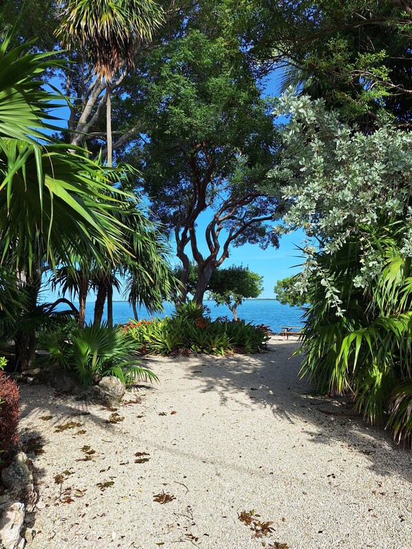 På stranden, solstolar och strandhanddukar