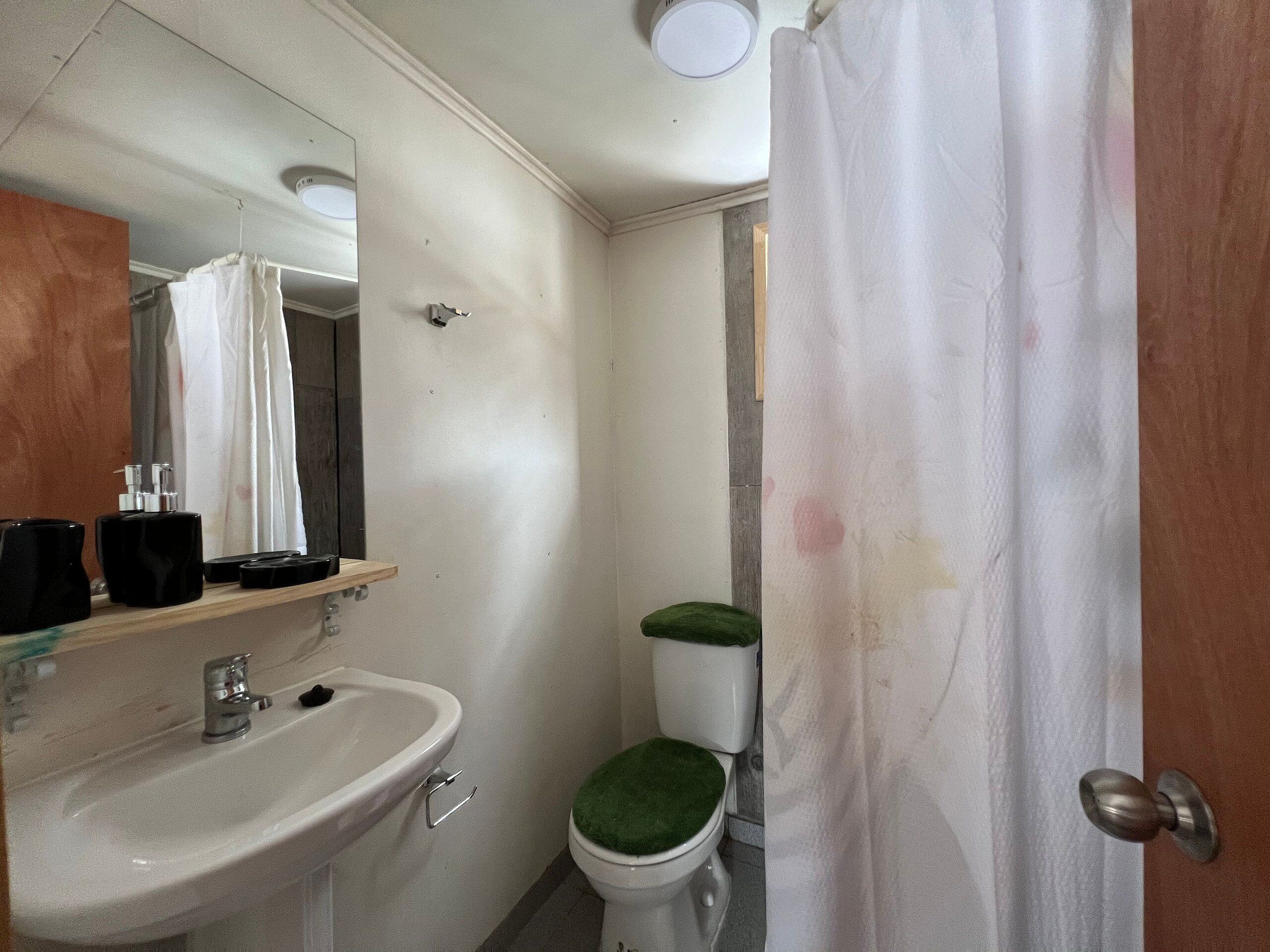 A bathroom with a sink, mirror, toilet, and shower curtain.