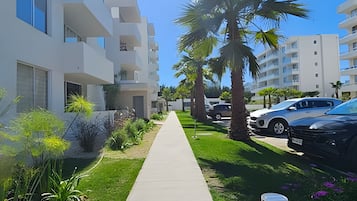 Basic Apartment | Property grounds