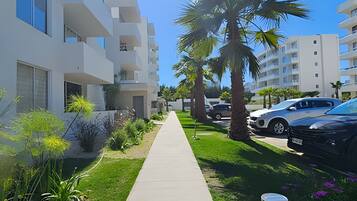 Basic Apartment | Property grounds