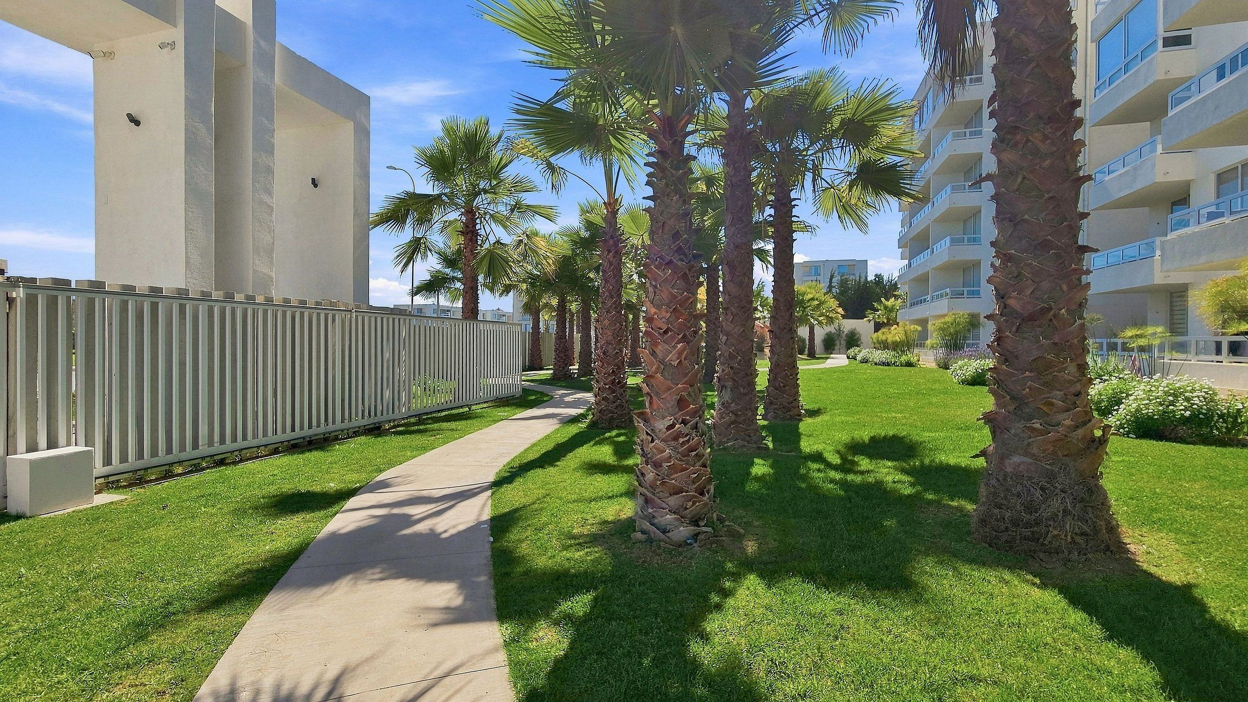 A pathway lined with palm trees leading to a modern building with balconies.